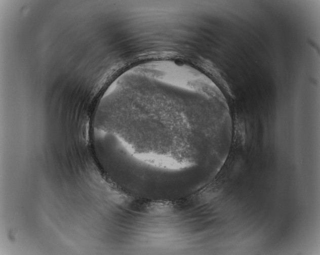 X0000099410110200806060941