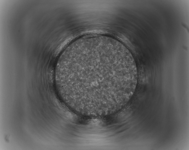 X0000099410111200806060941