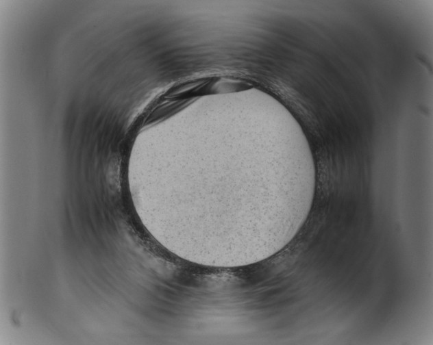 X0000099410112200806060941