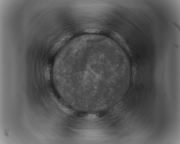 X0000099410114200806060941