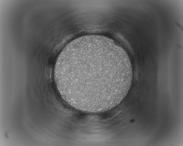 X0000099410115200806060941