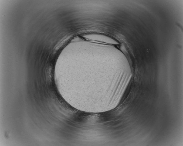 X0000099410116200806060941