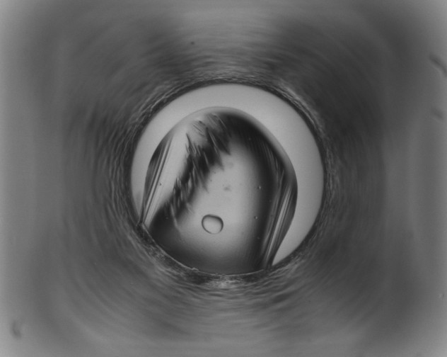 X0000099410117200806060941