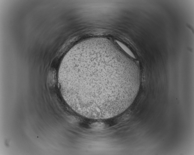 X0000099410119200806060941