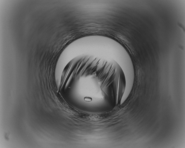 X0000099410121200806060941