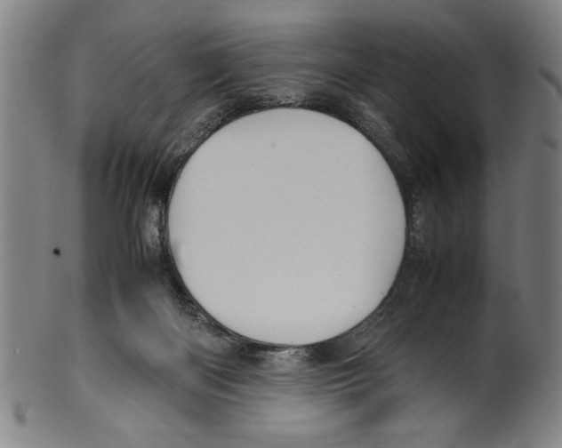 X0000099410122200806060941