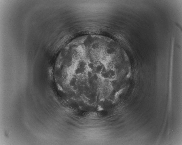 X0000099410123200806060941