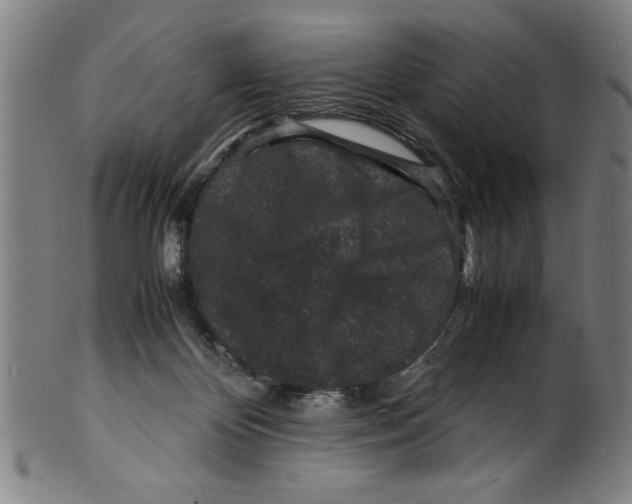 X0000099410124200806060941