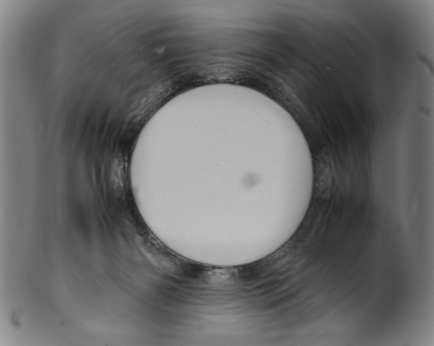 X0000099410126200806060941