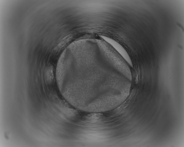 X0000099410128200806060941