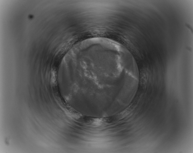 X0000099410130200806060941