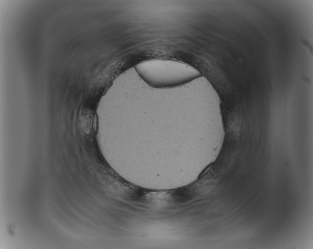 X0000099410133200806060941