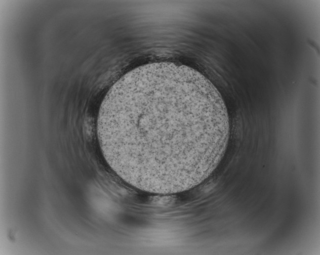 X0000099410135200806060941