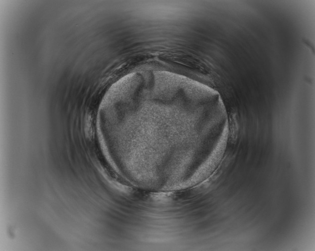 X0000099410136200806060941