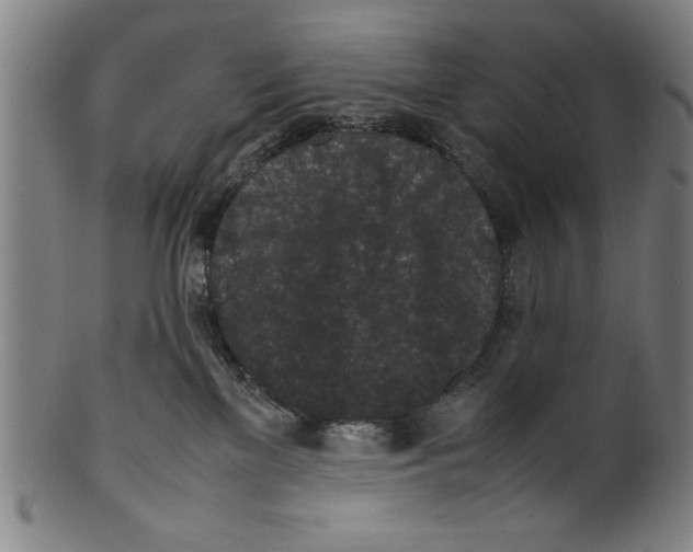 X0000099410137200806060941