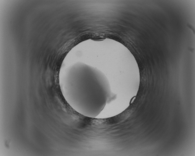 X0000099410139200806060940