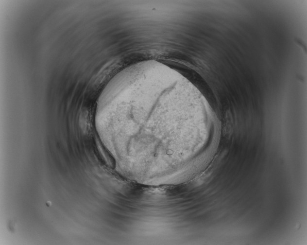 X0000099410140200806060940