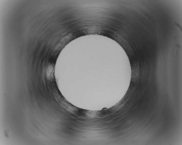 X0000099410142200806060940