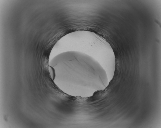 X0000099410143200806060940