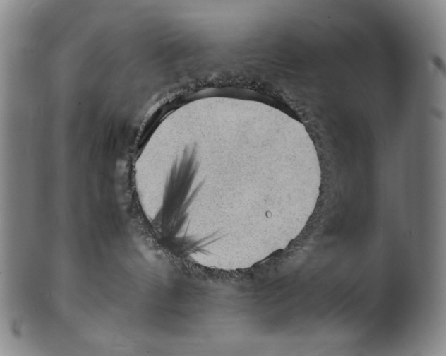 X0000099410144200806060940