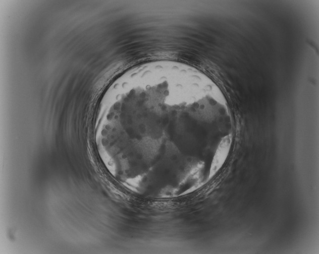 X0000099410145200806060940