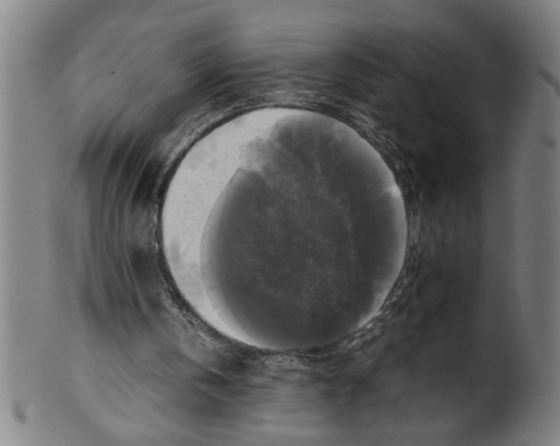 X0000099410146200806060940