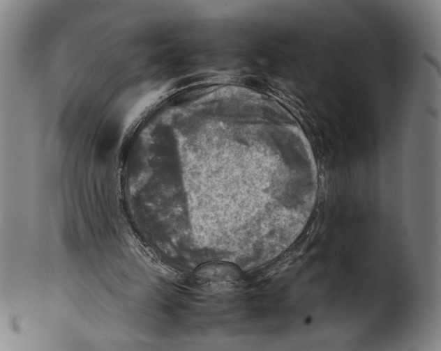 X0000099410149200806060940