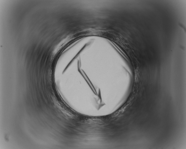 X0000099410150200806060940