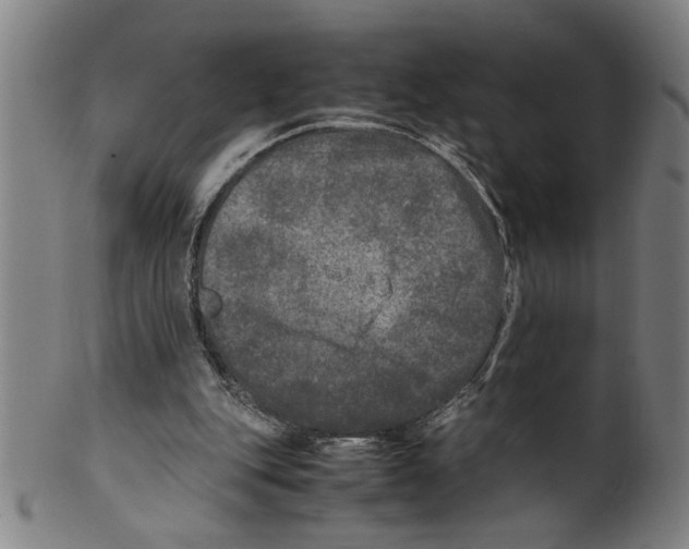 X0000099410151200806060940