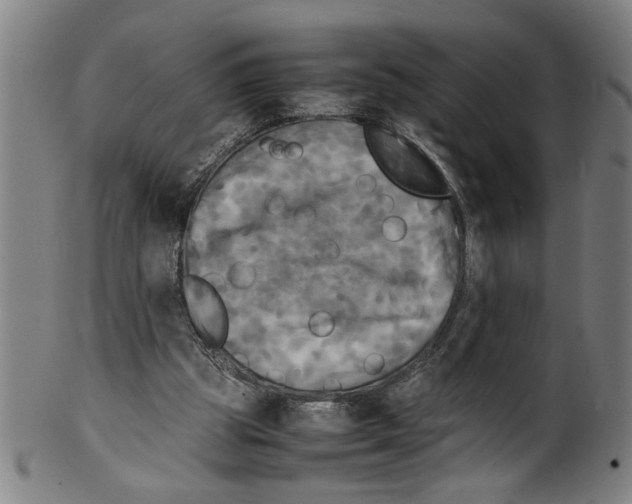 X0000099410153200806060940