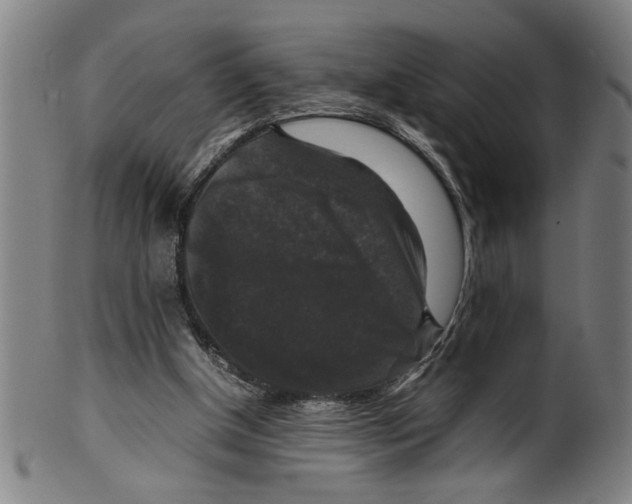 X0000099410154200806060940