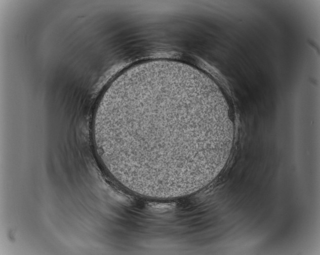 X0000099410155200806060940