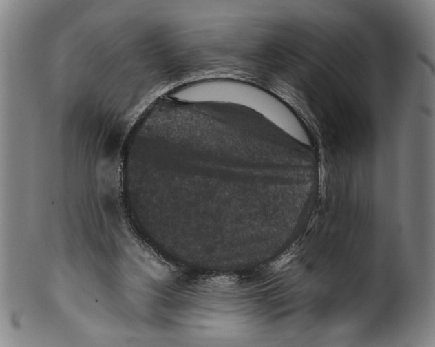 X0000099410156200806060940