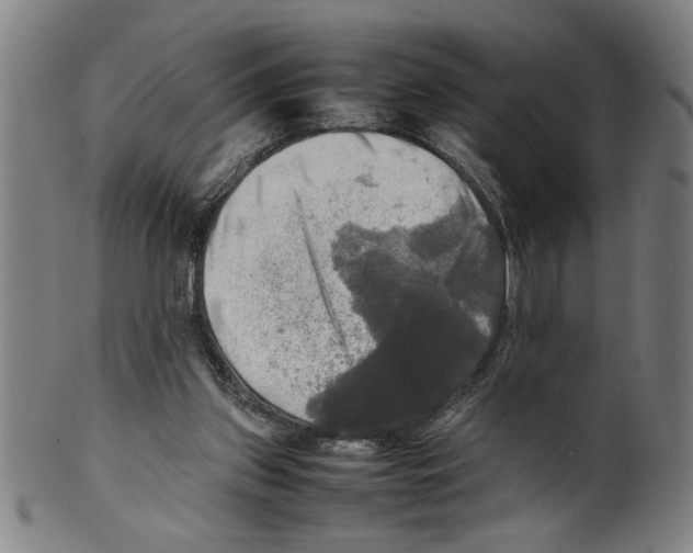 X0000099410157200806060940