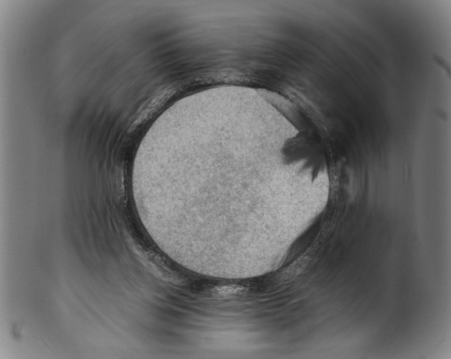 X0000099410158200806060940
