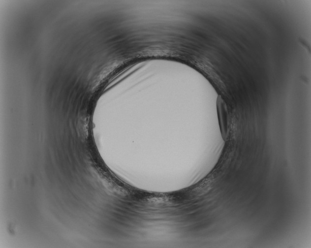 X0000099410160200806060940