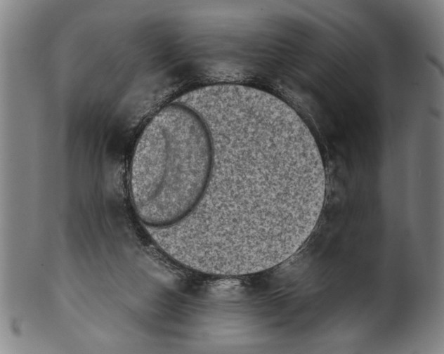 X0000099410162200806060940