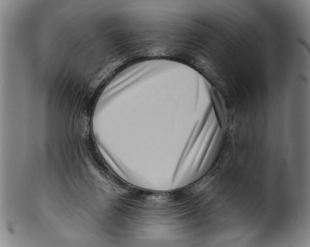 X0000099410164200806060940