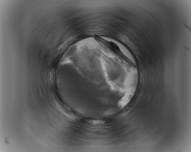 X0000099410165200806060940