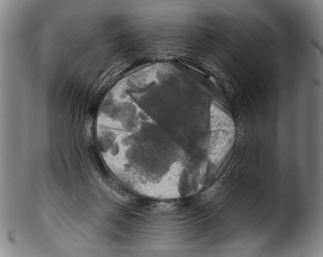 X0000099410166200806060940