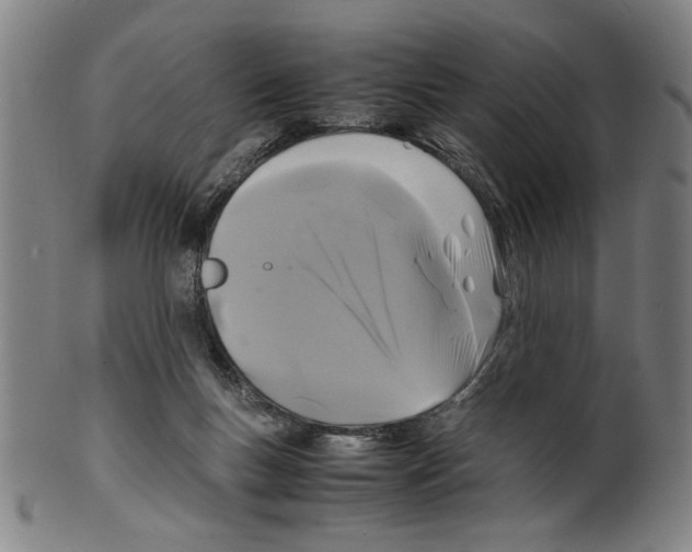 X0000099410167200806060940