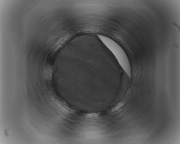 X0000099410168200806060940