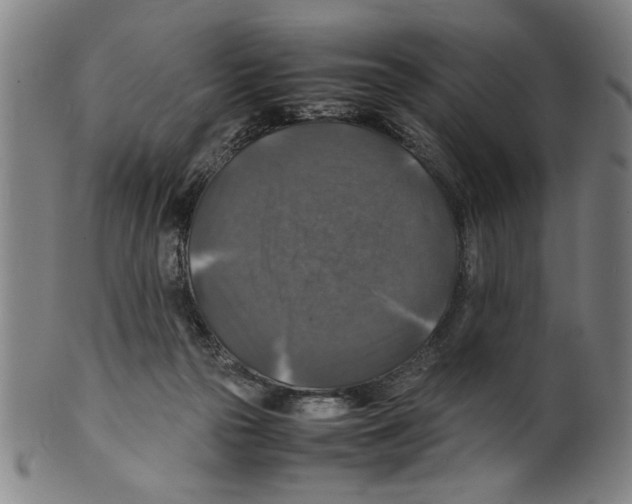 X0000099410169200806060940