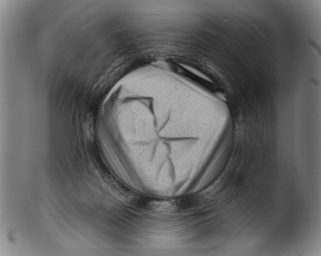 X0000099410170200806060940