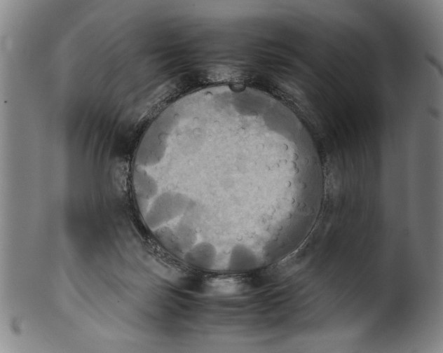 X0000099410171200806060940