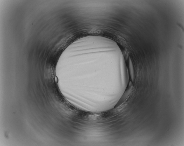 X0000099410172200806060940