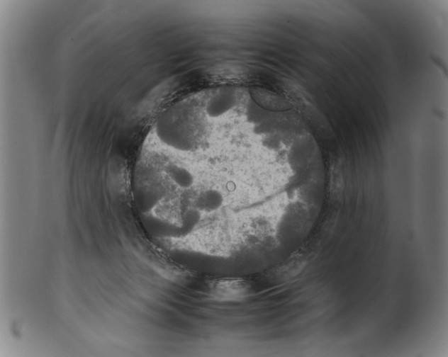 X0000099410173200806060940