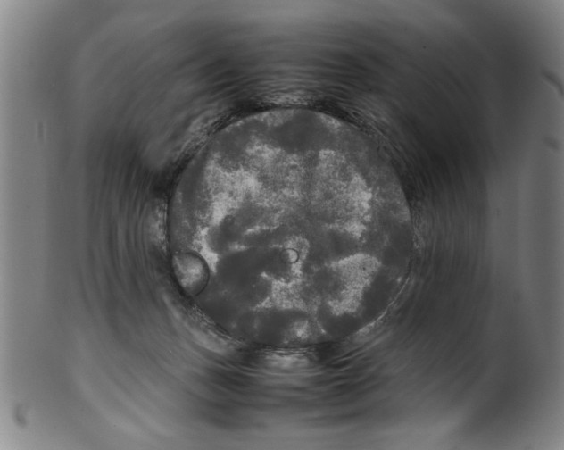 X0000099410175200806060940