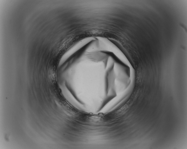 X0000099410176200806060940