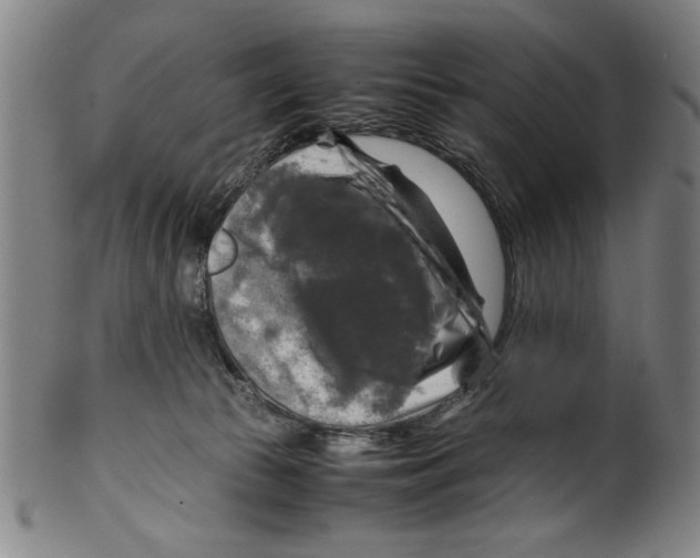 X0000099410177200806060940